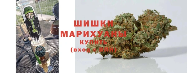 прущие грибы Сатка