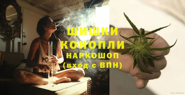 прущие грибы Сатка
