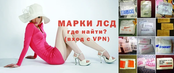 прущие грибы Сатка