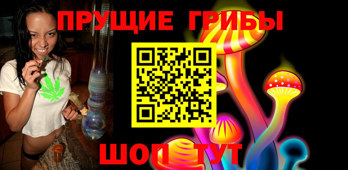 Галлюциногенные грибы Psilocybine cubensis  Долгопрудный  Галлюциногенные грибы Cubensis 