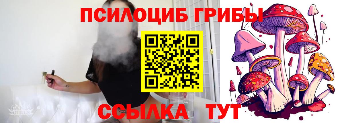 Долгопрудный  Галлюциногенные грибы Psilocybine cubensis  Галлюциногенные грибы мухоморы  Вход с VPN 