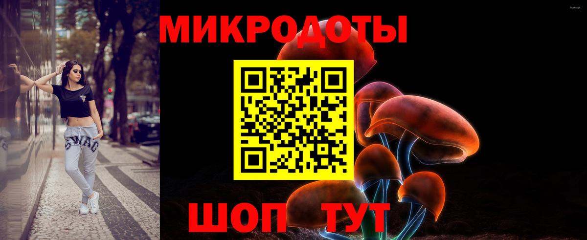 Галлюциногенные грибы мухоморы Долгопрудный