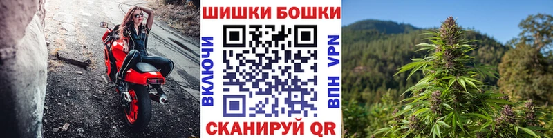 Канабис планчик Долгопрудный