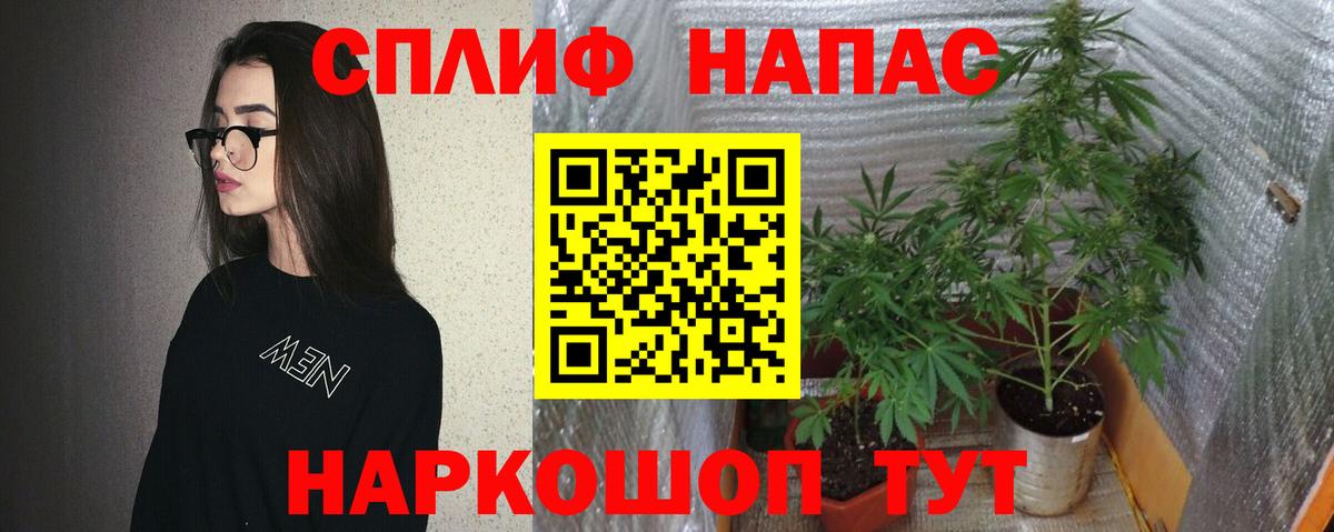 МАРИХУАНА OG Kush  Долгопрудный  Каннабис семена 